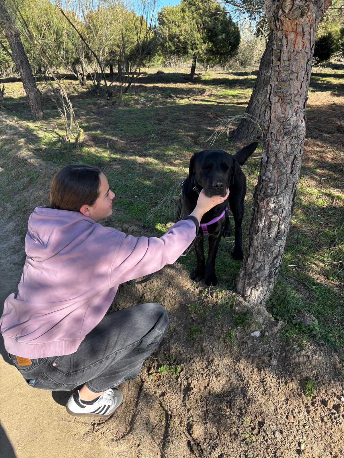 Clara crouching to greet a black dog at Abrazo Animal