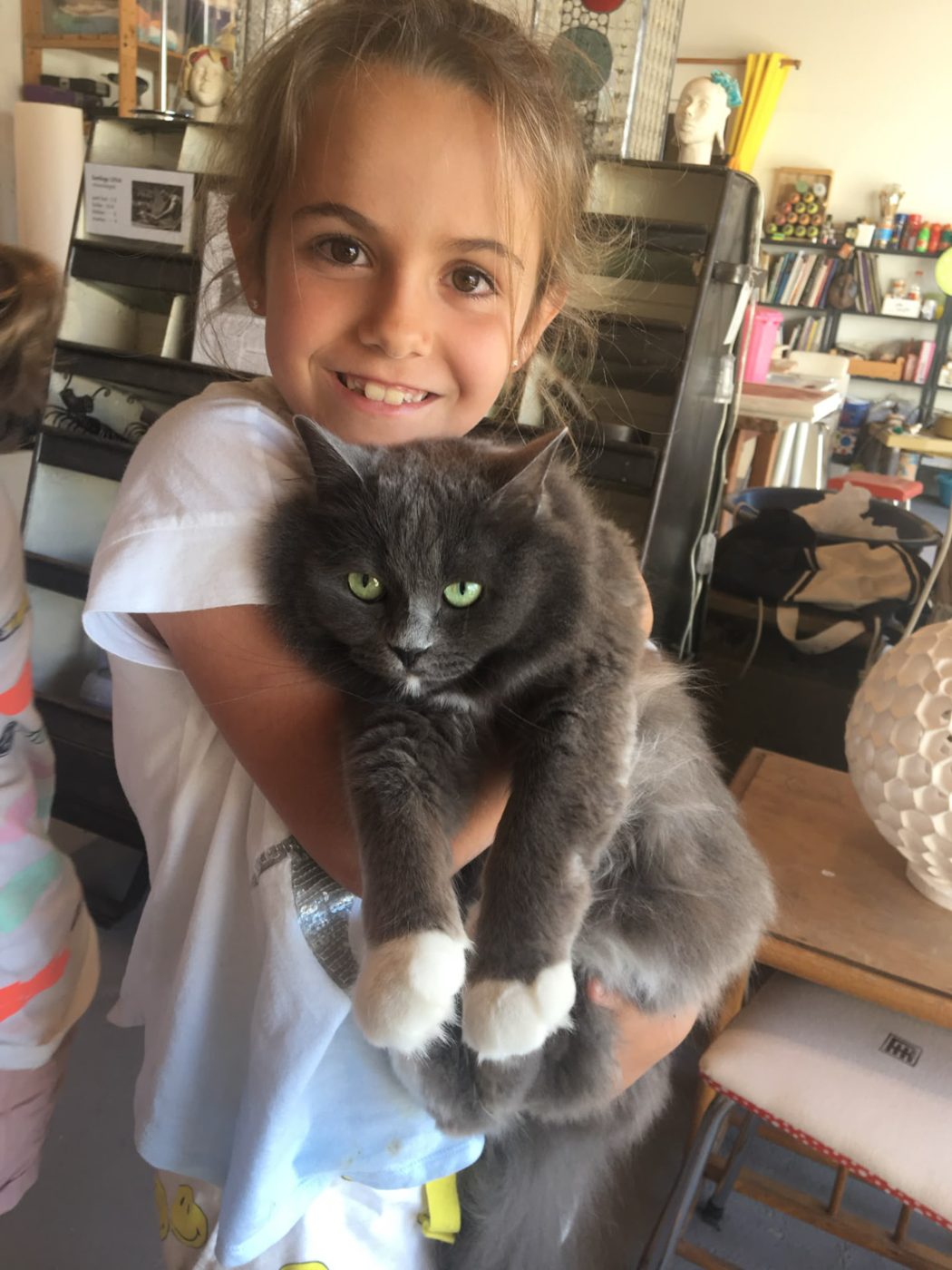 A young girl holding a fluffy grey and white cat indoors