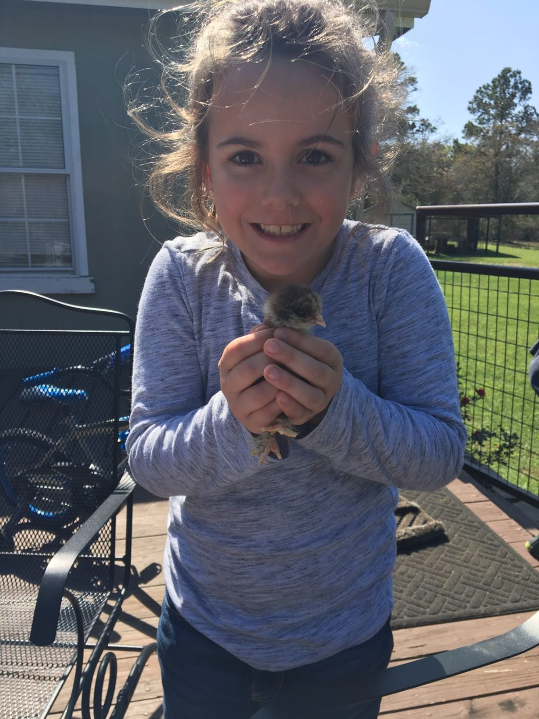 A young girl holding a small brown chick in her cupped hands on a wooden deck