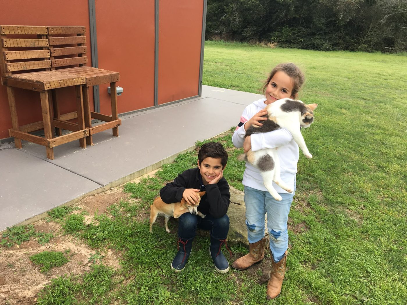 A young boy petting a small tan dog while a young girl holds a calico cat