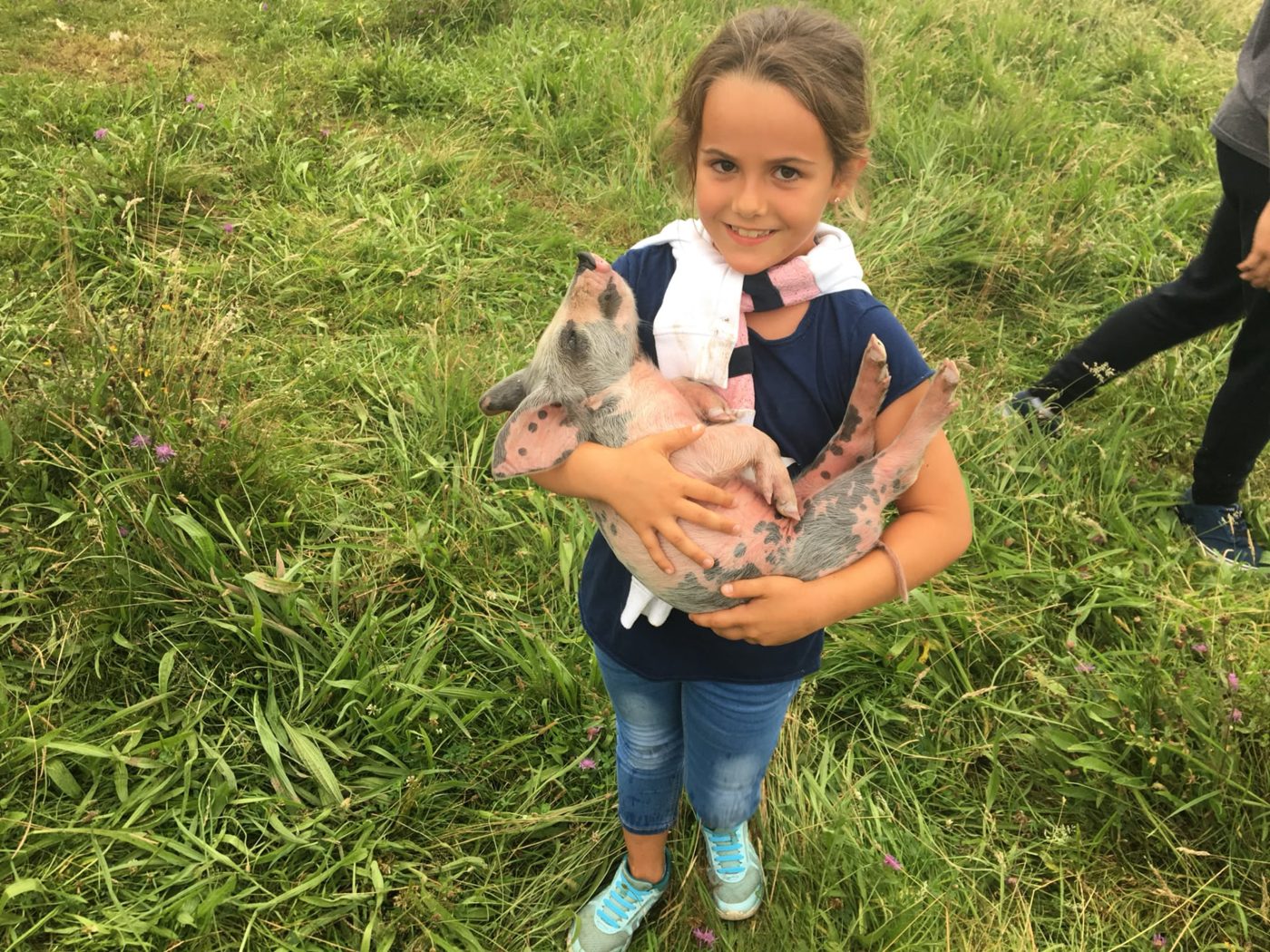 A young girl holding a spotted piglet in a grassy field