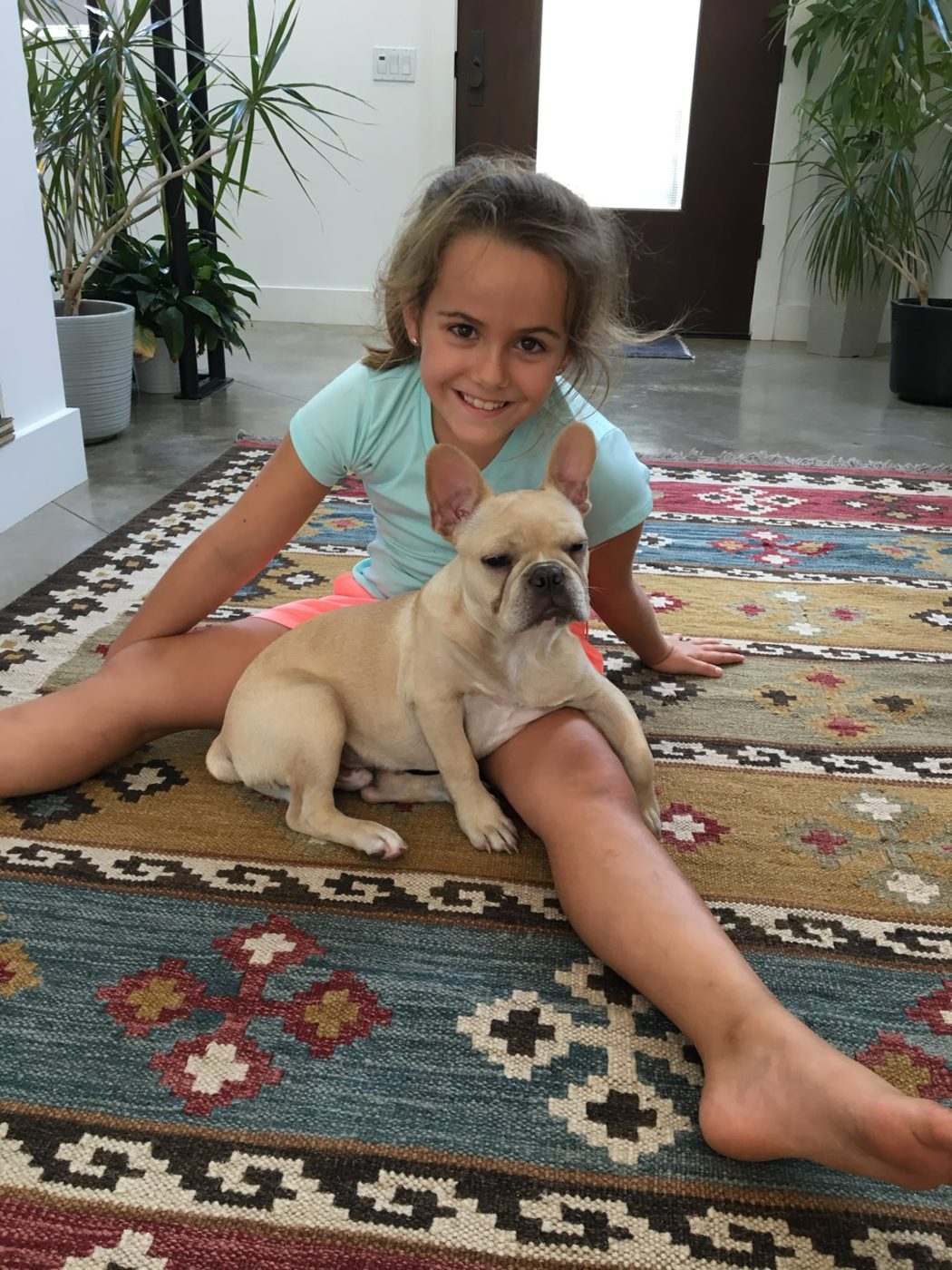 A young girl sitting on a patterned rug with a French bulldog puppy on her lap