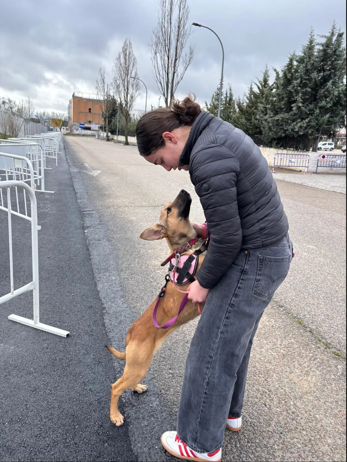 Clara greeting a rescued dog at Refugio Abrazo Animal
