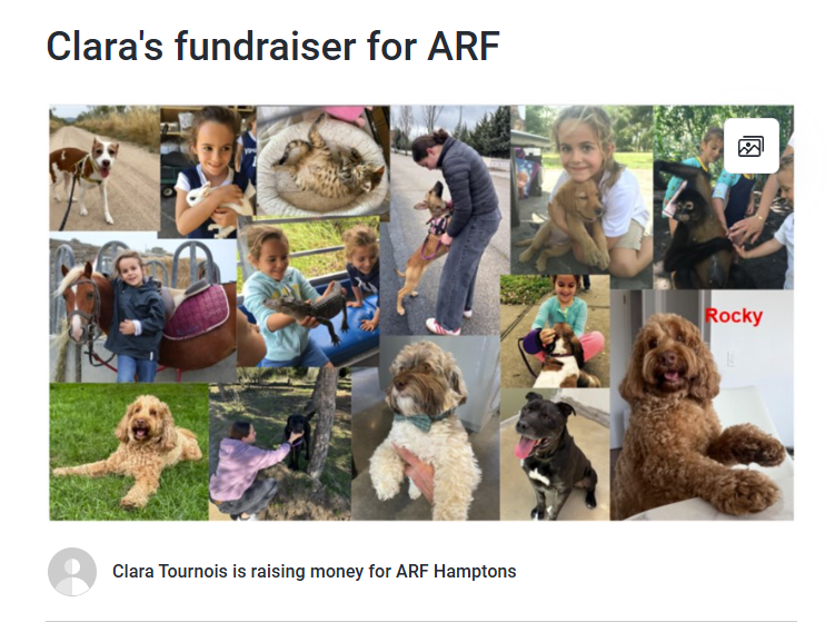 Clara's fundraiser for ARF Hamptons on JustGiving, with a collage of dogs, horses and animals she has cared for