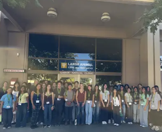 Clara with her UC Davis Animal Science program group outside the Large Animal Clinic